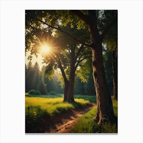 Sunrise In The Forest 3 Canvas Print