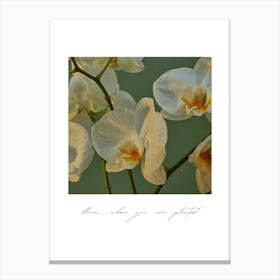 White Orchids 2 Canvas Print