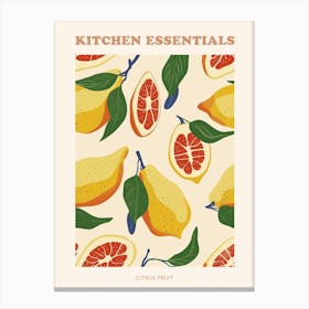 Citrus Fruit Abstract Illustration Poster 1 Canvas Print