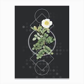 Vintage Macartney Rose Botanical with Geometric Line Motif and Dot Pattern Canvas Print