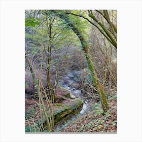 Serene Forest Pathway with Stream in Orobie Alps. This image captures a tranquil forest scene with a small stream flowing through it. The forest is dense with trees, some of which are covered in moss and ivy. The ground is littered with fallen leaves, and the stream is bordered by rocks and vegetation. The overall atmosphere is peaceful and serene, making it a perfect representation of untouched natural beauty 1 Canvas Print