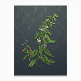 Vintage Goji Berry Tree Botanical on Slate Gray Pattern Canvas Print