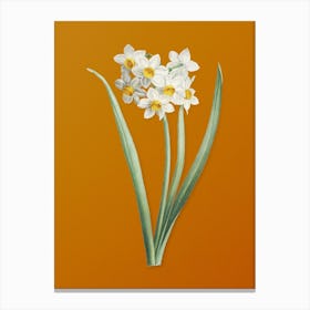 Vintage Narcissus Easter Flower Botanical on Sunset Orange Canvas Print