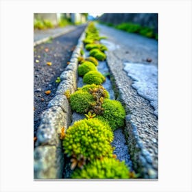 Asphalt Oasis Discover A Tiny Patch Of Verdant Mo Canvas Print