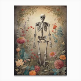 Botanical Skeleton Vintage Painting (18) Canvas Print