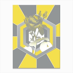 Vintage Double Moss Rose Botanical Geometric Art in Yellow and Gray n.271 Canvas Print