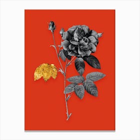 Vintage French Rose Black and White Gold Leaf Floral Art on Tomato Red n.1090 Canvas Print