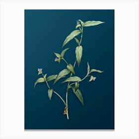 Vintage Tagblume Botanical Art on Teal Blue n.0240 Canvas Print