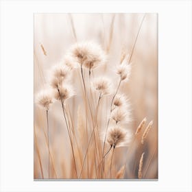 Boho Dried Flowers Flax Flower 2 Canvas Print