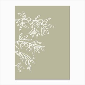 Line Art Olive set, A Canvas Print