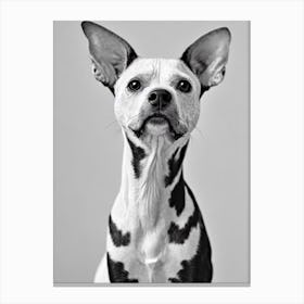 American Hairless Terrier B&W Pencil dog Canvas Print