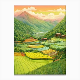 Rice Fields Canvas Print