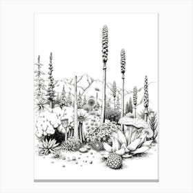 Cactus Garden Canvas Print