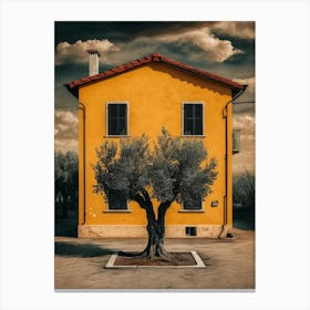 Olive Tree In Front Of House 1 Canvas Print