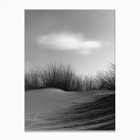 Dunes and cloud Canvas Print