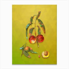 Vintage Walnut Peach Botanical Art on Empire Yellow n.0269 Canvas Print