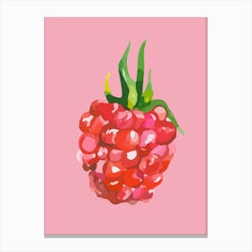 Pink Raspberry Canvas Print