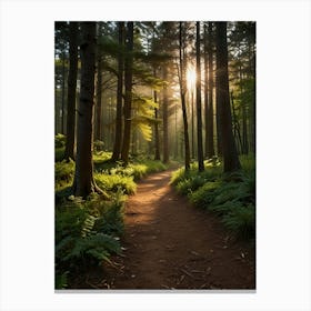 Sunrise In The Forest 2 Canvas Print