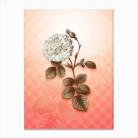 White Rose of York Vintage Botanical in Peach Fuzz Tartan Plaid Pattern n.0173 Canvas Print