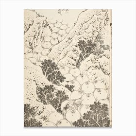 Woodblock Prints, Katsushika Hokusai Canvas Print
