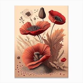 Poppy Seeds Spices And Herbs Retro Drawing 1 Canvas Print