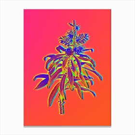 Neon Pleomele Botanical in Hot Pink and Electric Blue n.0333 Canvas Print