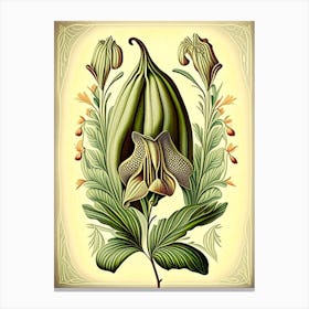 Cardamom Herb Vintage Botanical Canvas Print