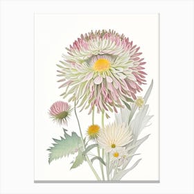 Chrysanthemum Floral Quentin Blake Inspired Illustration 3 Flower Canvas Print