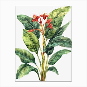 Tropical Plant Canvas Print Canvas Print