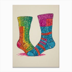 Socks 1 Canvas Print