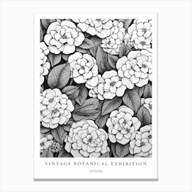 Lantana B&W Vintage Botanical Poster Canvas Print