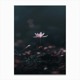 Lotus Flower 34 Canvas Print