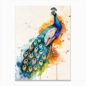 Peacock Watercolor Painting Canvas Print