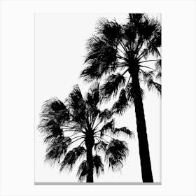 Palm Trees B&W_2251409 Canvas Print
