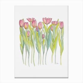 Pink Tulips Canvas Print