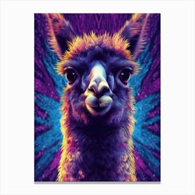 Llama Tripping Canvas Print