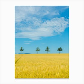 Golden Wheat Field Canvas Print