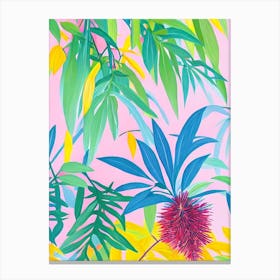 Bottlebrush Plant Eclectic Boho Canvas Print