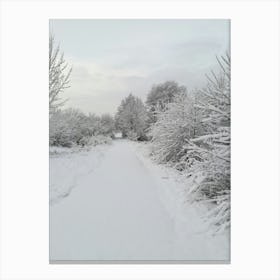 Snowy Path Canvas Print