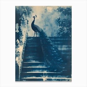 Peacock Feathers On Steps Cyanotype Inspired Canvas Print
