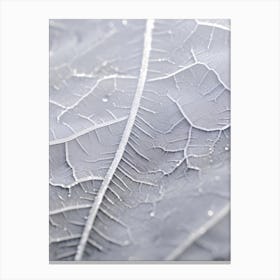 Close Up Of A Leaf Canvas Print