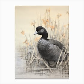 Vintage Bird Drawing Coot 2 Canvas Print