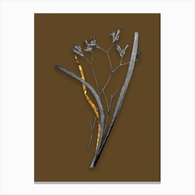 Vintage Anigozanthos Flavida Black and White Gold Leaf Floral Art on Coffee Brown n.0385 Canvas Print