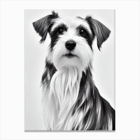 Silky Terrier B&W Pencil dog Canvas Print
