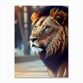 Lion Wallpaper Canvas Print