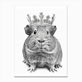 Guinea Pig 6 Canvas Print