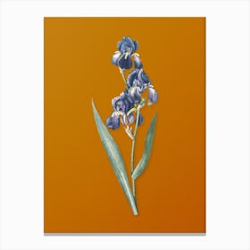 Vintage Dalmatian Iris Botanical on Sunset Orange n.0400 Canvas Print