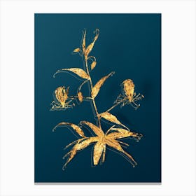 Vintage Flame Lily Botanical in Gold on Teal Blue n.0062 Canvas Print