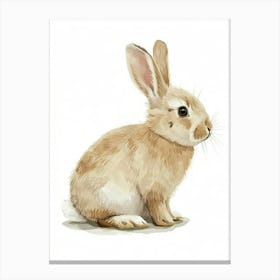 Mini Lop Rabbit Nursery Painting 3 Canvas Print