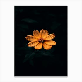 Dark Flower 1 Canvas Print